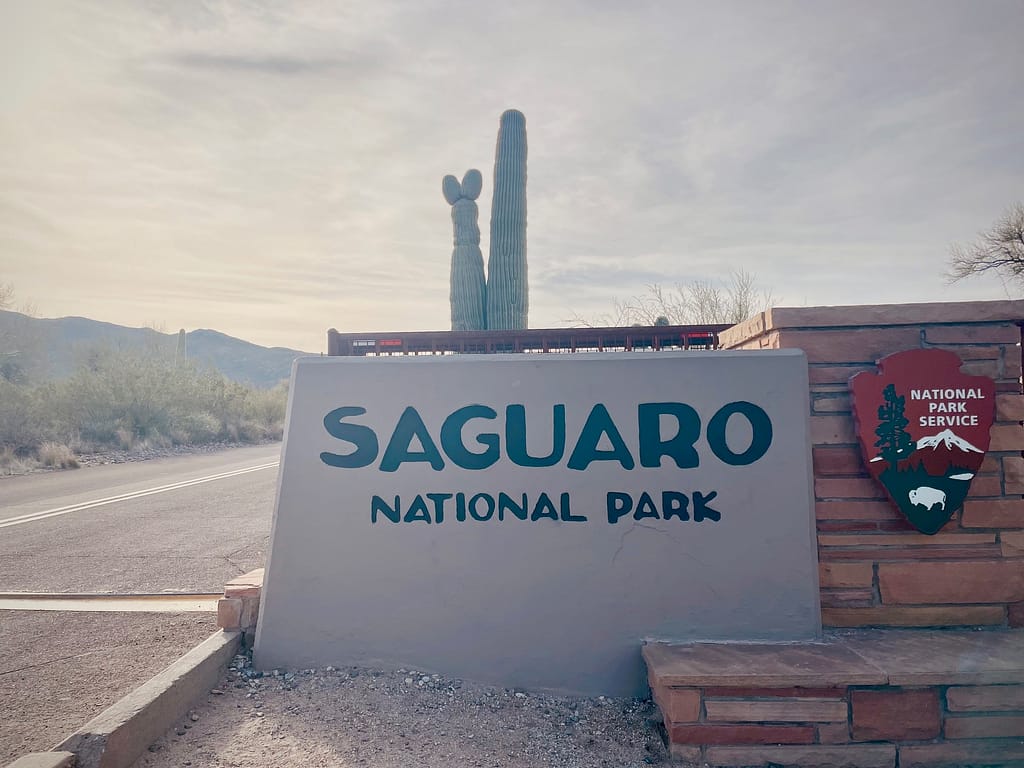 Saguaro National Park