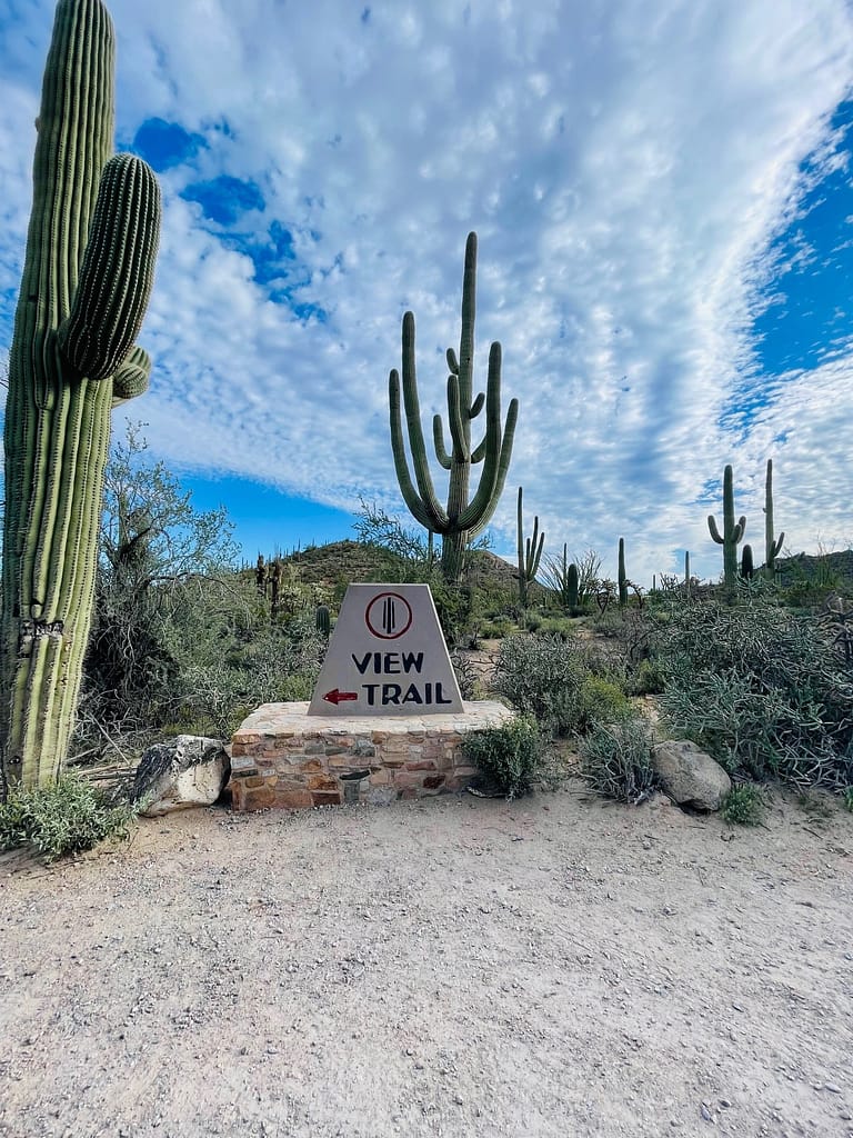 Saguaro National Park