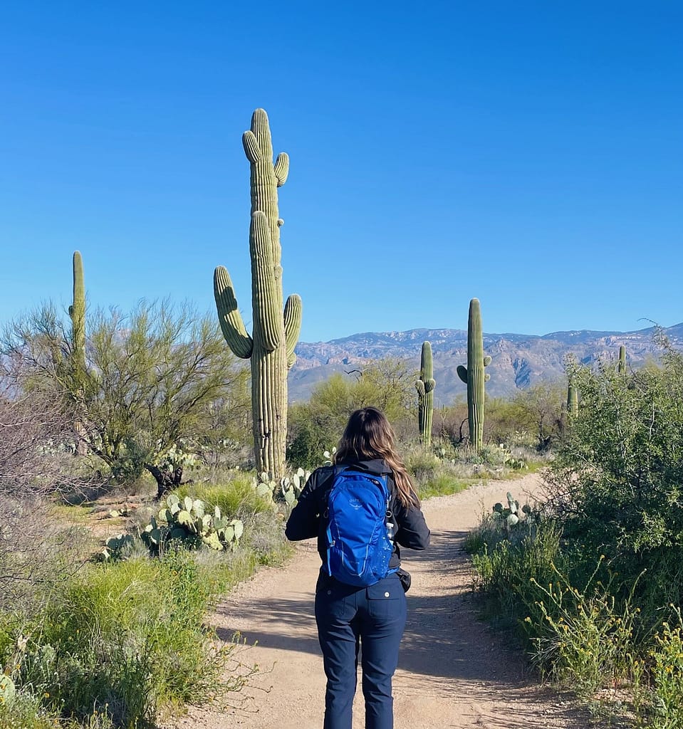 Saguaro National Park