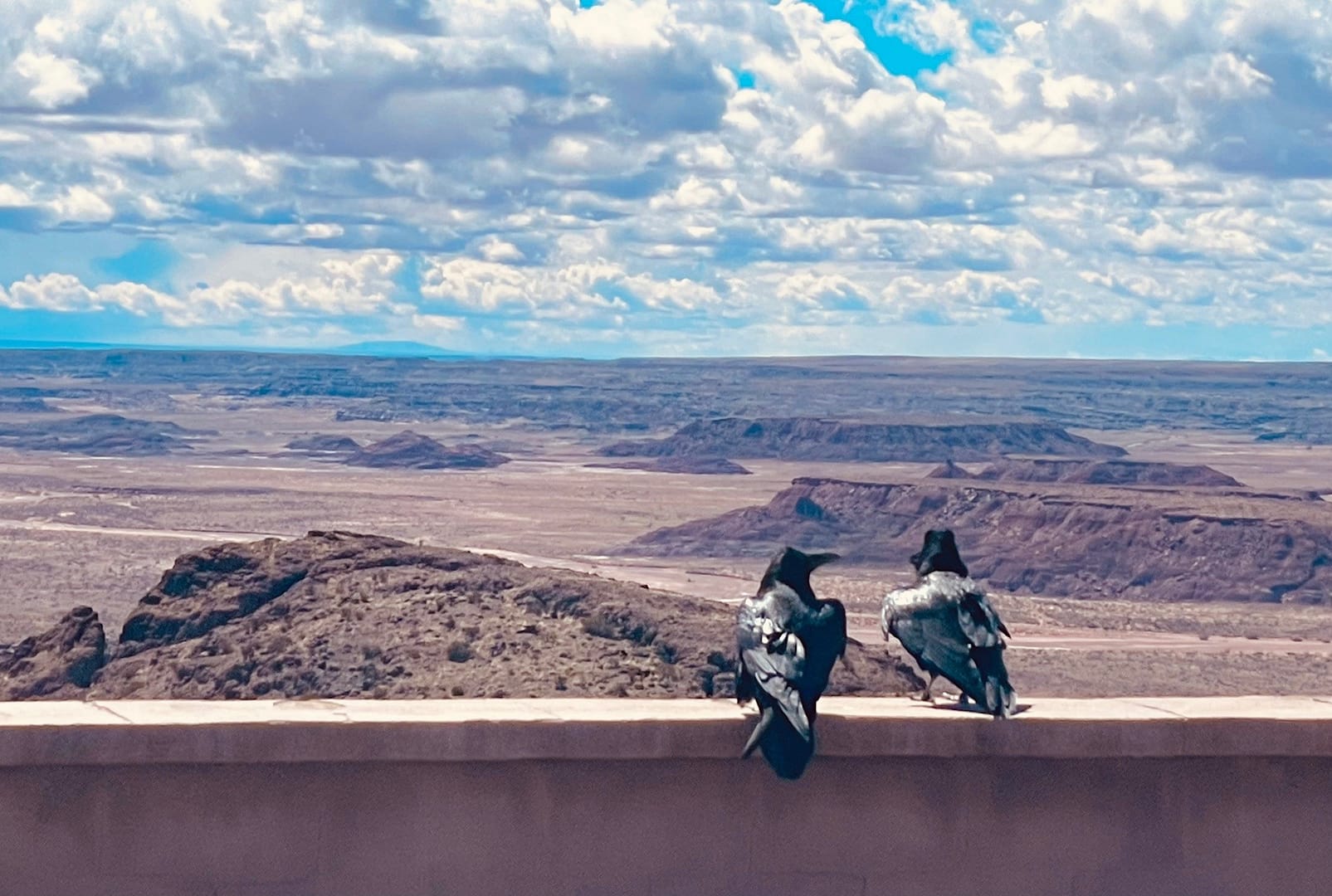 Petrified Forest National Park