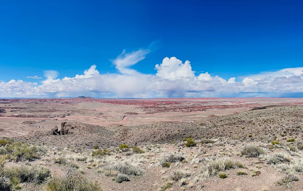 Petrified Forest National Park
