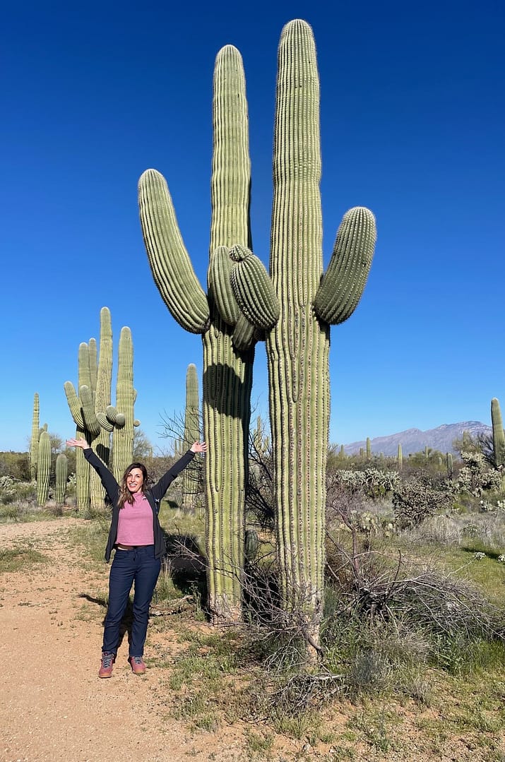 Saguaro National Park