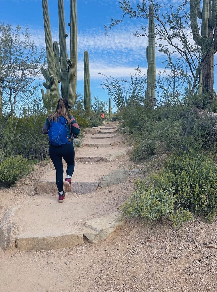 Saguaro National Park Valley View Trail