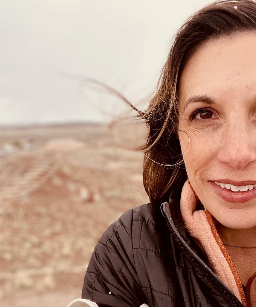 Petrified Forest National Park