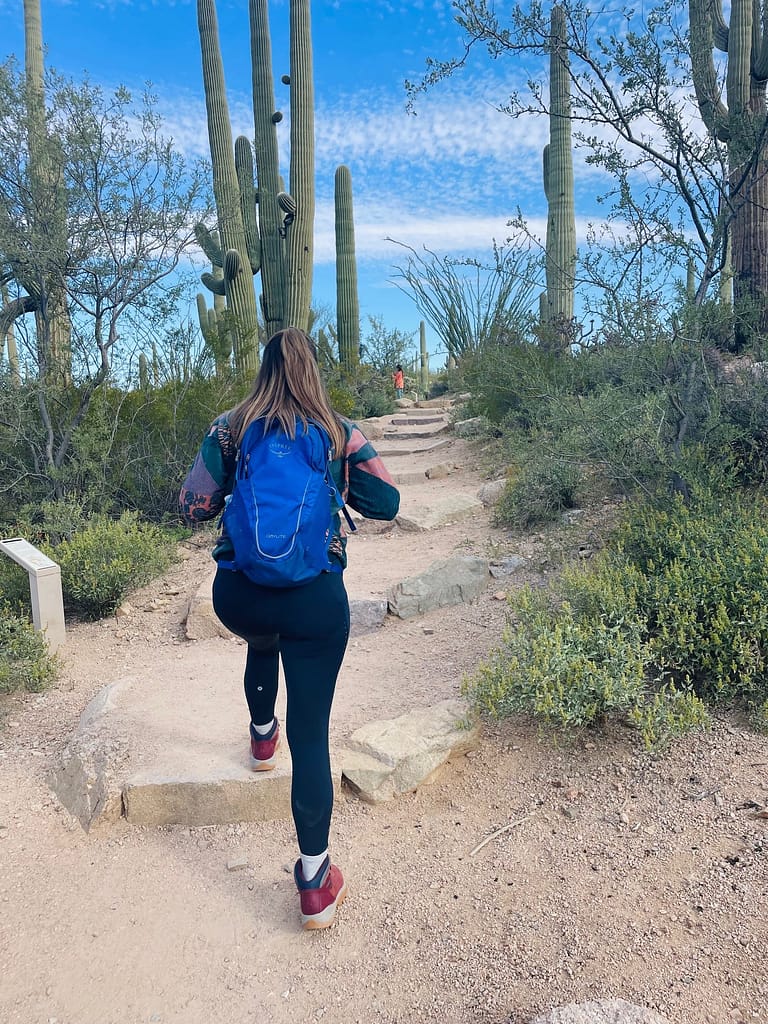 Saguaro National Park