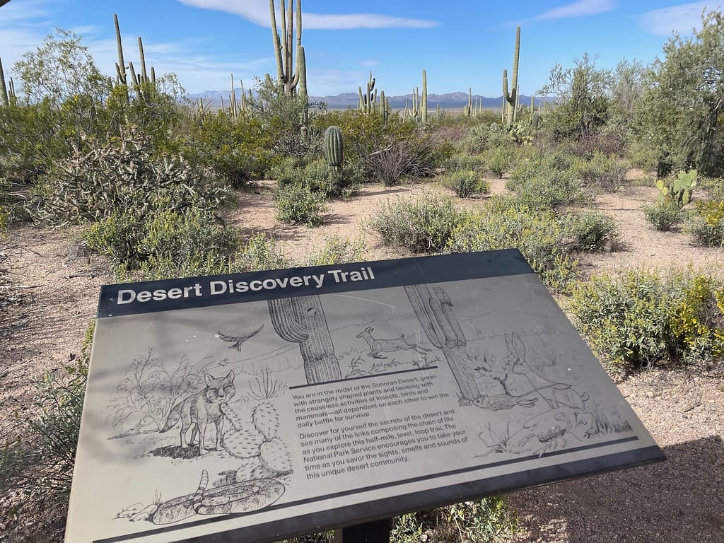 Saguaro National Park