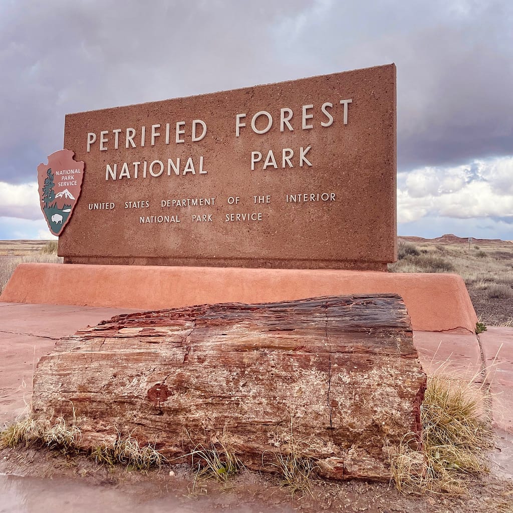 Petrified Forest National Park