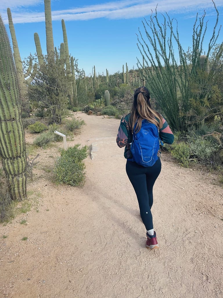 Saguaro National Park