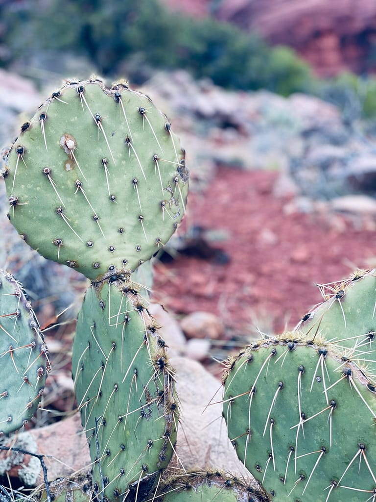 Chapel Trail - Sedona