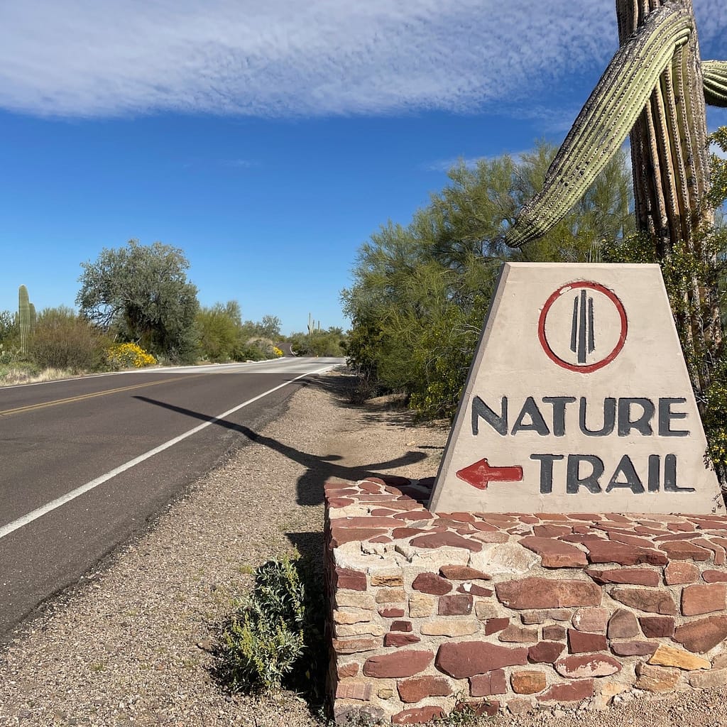 Saguaro National Park