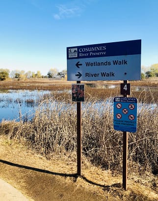 Lovely & Lush Nature Preserve You Will Want to Explore!