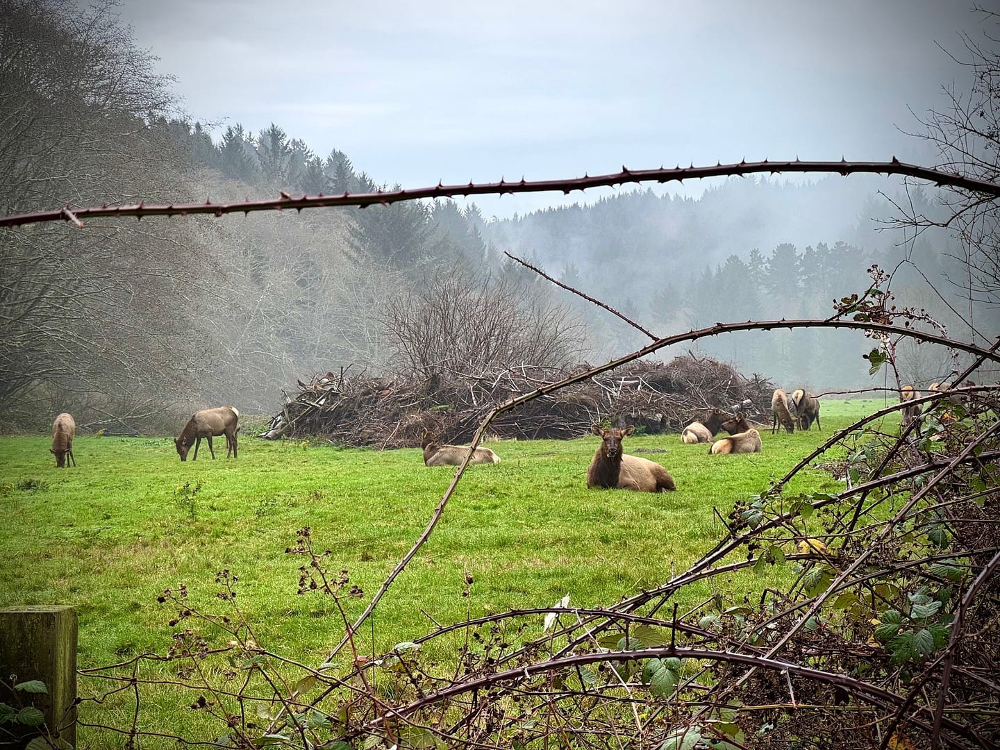 Wonderful Weekend in Eureka, Ca