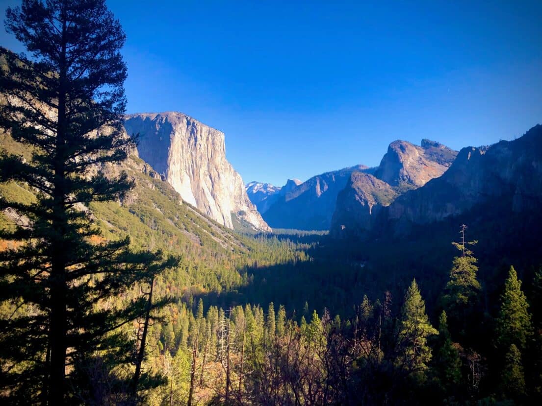 You Must See Yosemite In The Springtime!